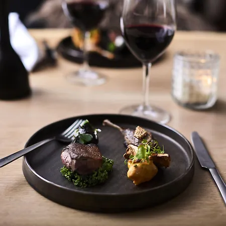 Hotell Haraldskaer Sinatur & Konference Vejle