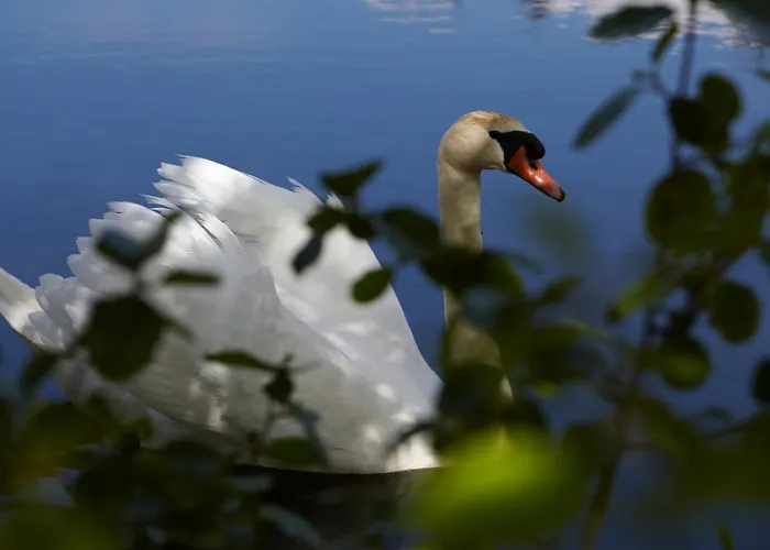 Haraldskaer Sinatur & Konference Vejle